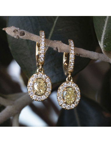 GOLD GLITTER Earrings: Radiant elegance for a triumphant entrance