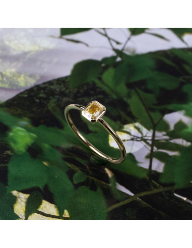 Yellow gold ring with princess diamond: Timeless elegance for your eve